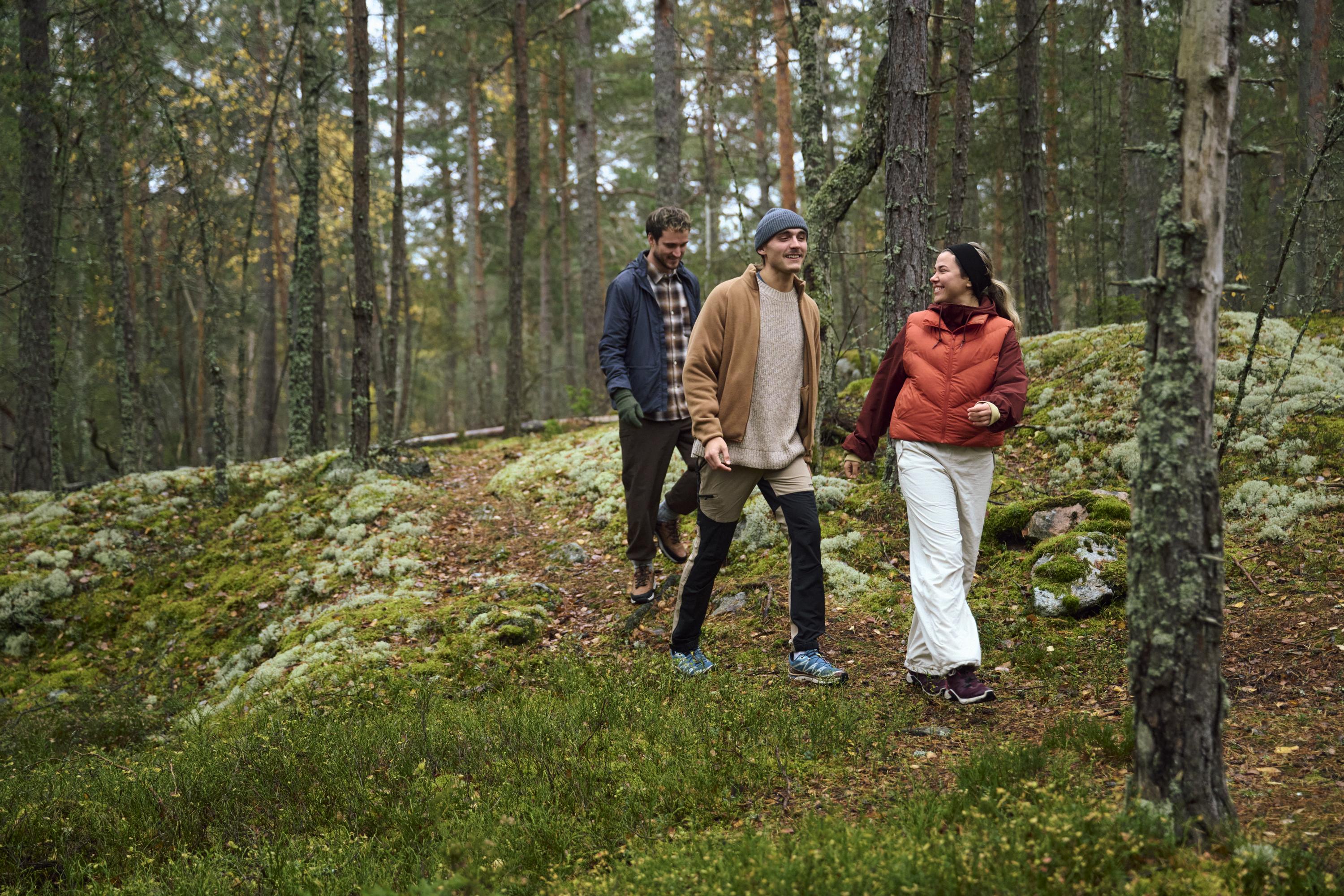 Tre personer promenerar i skogen.