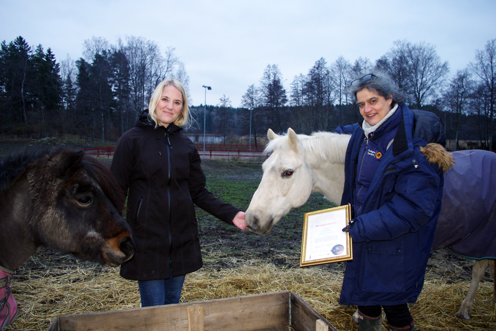 Bidraget togs emot av ridskolechef Leila Bull i hagen bakom ridhuset och bevittnades nyfiket av hästarna Atles och Prins.